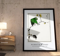 Numata Kashu - Fairy Pitta and Japanese Allspice illustration from Pictorial Monograph of Birds (1885)