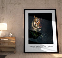 abbott handerson thayer - Tiger's Head painting in high resolution