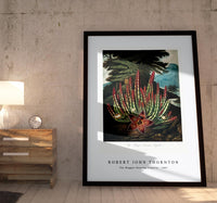 Robert John Thornton - The Maggot–Bearing Stapelia from The Temple of Flora (1807)