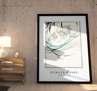 Numata Kashu - Wooper Swan illustration from Pictorial Monograph of Birds (1885)