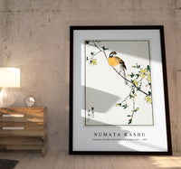 Numata Kashu - Japanese Meadow Bunting and Golden Ball illustration from Pictorial Monograph of Birds (1885)