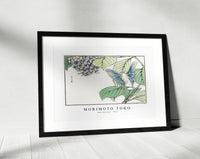 Morimoto Toko - Moth and plant illustration from Churui Gafu (1910)