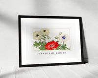 Tanigami Konan - Anemone flower