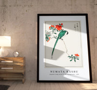 Numata Kashu - Japanese Long-tailed Tit and Pomegranate illustration from Pictorial Monograph of Birds (1885)