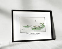 Morimoto Toko - Water striders on a pond illustration from Churui Gafu (1910)