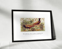 Maurice Pillard Verneuil - Faisans ordinaires from L'animal dans la décoration (1897)