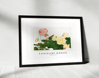 Tanigami Konan - Begonia flower