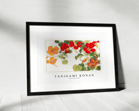 Tanigami Konan - Nasturtium flower