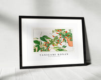 Tanigami Konan - Maranta & manettia flower