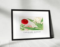 Tanigami Konan - Zinnia & white ginger lily flower