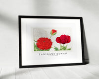 Tanigami Konan - Vintage poppy flower