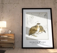 Numata Kashu - Japanese Quail and Gentian illustration from Pictorial Monograph of Birds (1885)