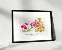 Tanigami Konan - Rose campion flower