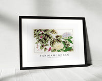 Tanigami Konan - Vintage vitis & stokesia flower