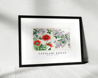 Tanigami Konan - Blanket flower & plumbago