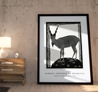 Samuel Jessurun De Mesquita - Markhor Goat (Markhorgeit) (1915)