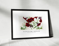 Tanigami Konan - Matricaria & salpiglossis flower