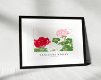 Tanigami Konan - Geranium flower