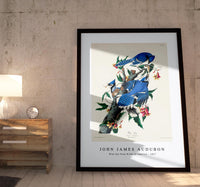 John James Audubon - Blue Jay from Birds of America (1827)