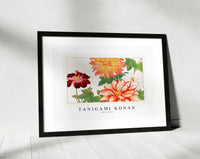 Tanigami Konan - Dahlia flower