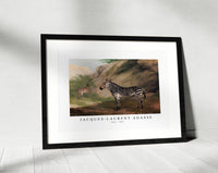 Jacques Laurent Agasse-Zebra (1803)