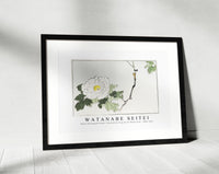 Watanabe Seitei - White blossomed flower. Illustration from Seitei Kacho Gafu 1890-1891