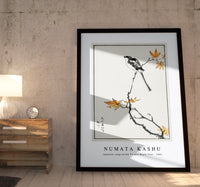 Numata Kashu - Japanese Long-tailed Tit and Maple Tree illustration from Pictorial Monograph of Birds (1885)