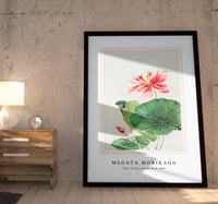 Megata Morikaga - Hasu (lotus) during 1870–1880