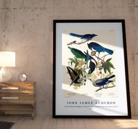 John James Audubon - Yellow-Billed Magpie, Stellers Jay, Ultramarine Jay and Clark's Crow from Birds of America (1827)