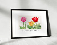 Tanigami Konan - Tulip