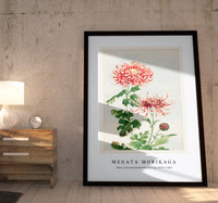 Megata Morikaga - Kiku (chrysanthemum) during 1870–1880