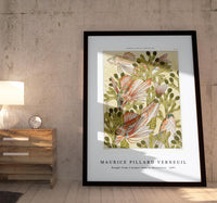 Maurice Pillard Verneuil - Rouget from L'animal dans la décoration (1897)