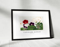 Tanigami Konan - Gloxinia flower