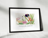 Tanigami Konan - Vintage scabiosa & montbretia flower