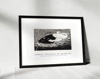 Samuel Jessurun De Mesquita - White Maguar Stork (Ooievaar, Magoear–ooievaar) (1914)