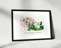 Tanigami Konan - Dendobium flower