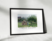 Camille Pissarro - Apple trees in Eragny, sunny morning 1903