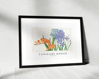 Tanigami Konan - Freesia flower