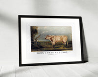 John James Audubon - A Young Bull (ca. 1849)