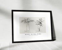 Mary Altha Nims - Studies of Upas and Maple Trees