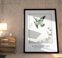 Numata Kashu - Japanese Common Kingfisher illustration from Pictorial Monograph of Birds (1885)