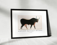 Giovanni Battista Belzoni - Plate 15  The Apis Bull 1778-1823
