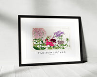 Tanigami Konan - Phlox flower