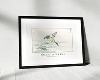 Numata Kashu - Eastern Grey Wagtail illustration from Pictorial Monograph of Birds (1885)