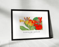 Tanigami Konan - Vintage canna flower