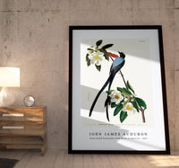 John James Audubon - Fork-tailed Flycatcher from Birds of America (1827)