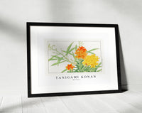 Tanigami Konan - Wall flower