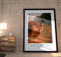 Jacques Laurent Agasse - Guanaco (ca. 1848)