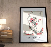 Numata Kashu - Pine Bunting and Plum Tree illustration from Pictorial Monograph of Birds