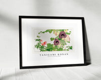 Tanigami Konan - Albizia & aristolochia flower